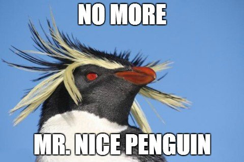 Google Penguin 2013